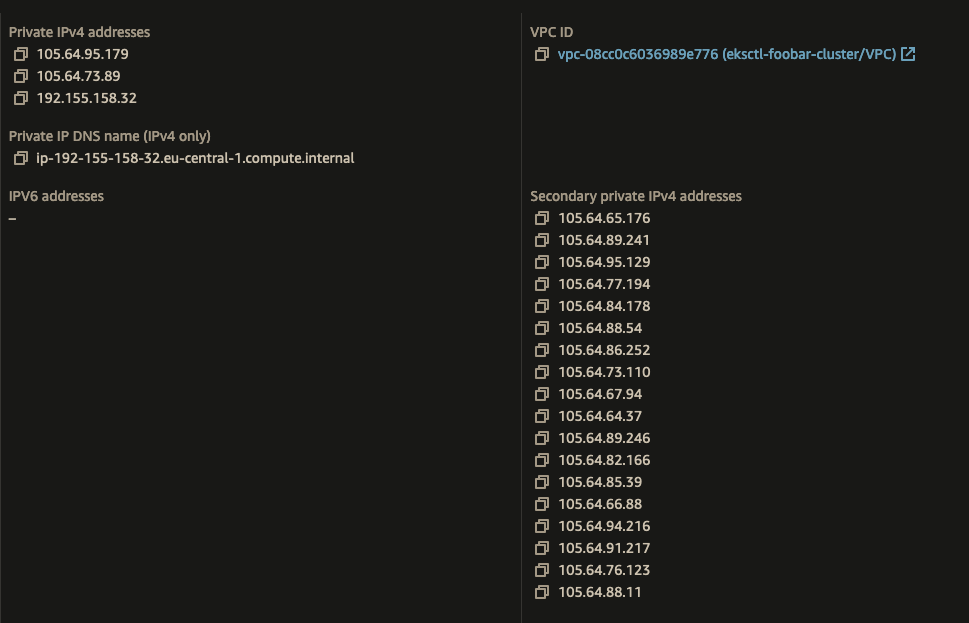 Managed Node EC2 Instance should have ips